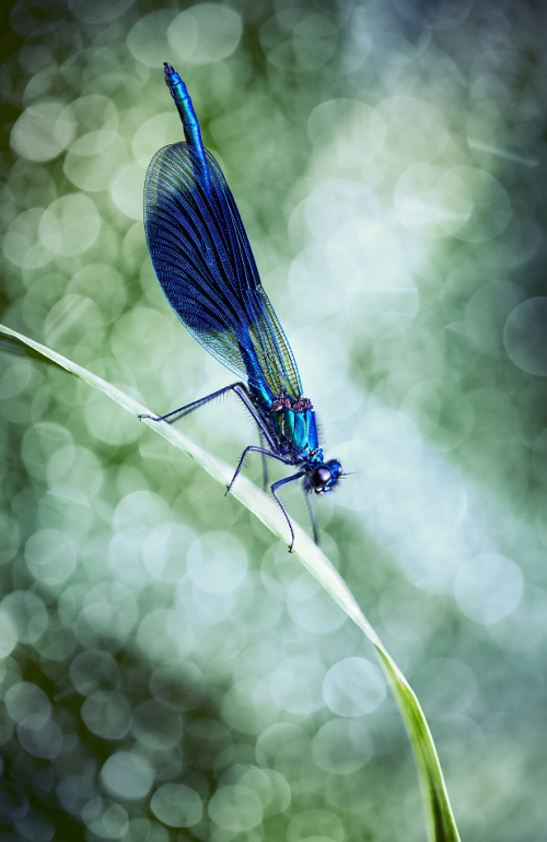 Vět&scaron;ina zotaven&iacute; nen&iacute; vidět