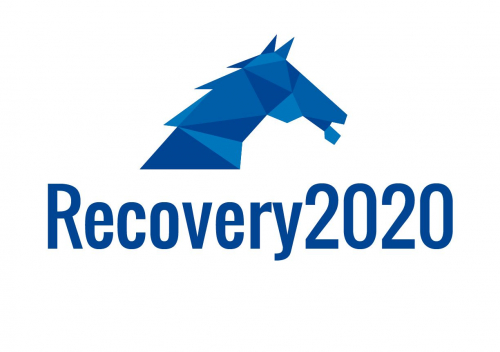 Konference Recovery2020 - Martin Fojtíček: Úskalí slov