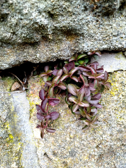 &Uacute;ryvky On The Road